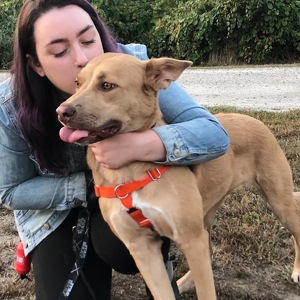 Fundraising Page: Alyssa Silvia